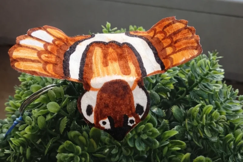 Jak zrobić wróbla z papieru