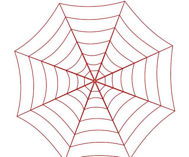 Ciekawostki o pajęczynie