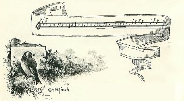 Pozytywka z ptaszkiem