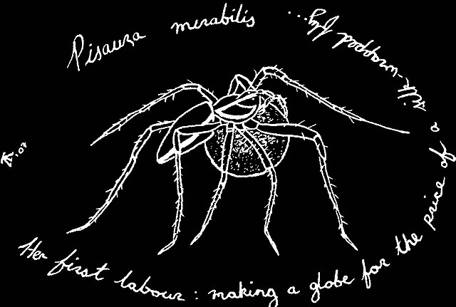 Czy w Polsce są jadowite pająki?