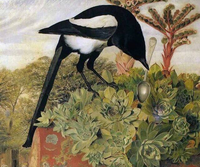 Jaki ptak lubi błyskotki. Skąd się wzięła ta czarna legenda?