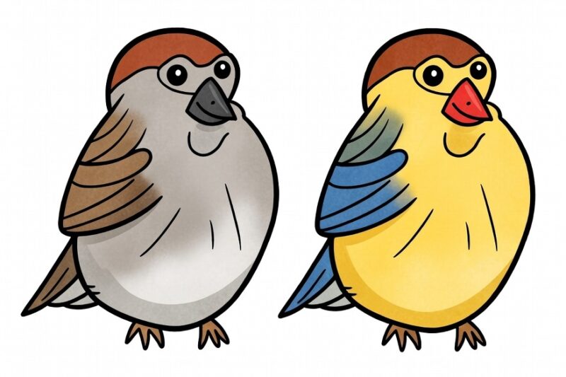 Ptaszek: kolorowanka