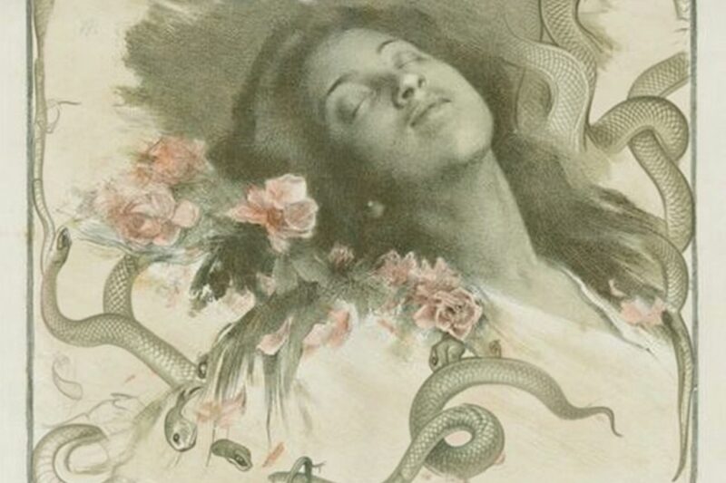 Sen o wężu: co oznacza?