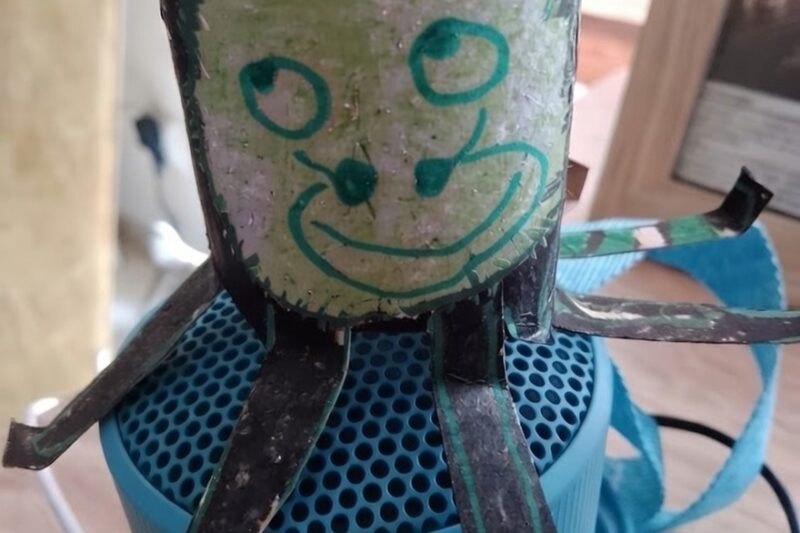 Pająk z rolki papieru toaletowego