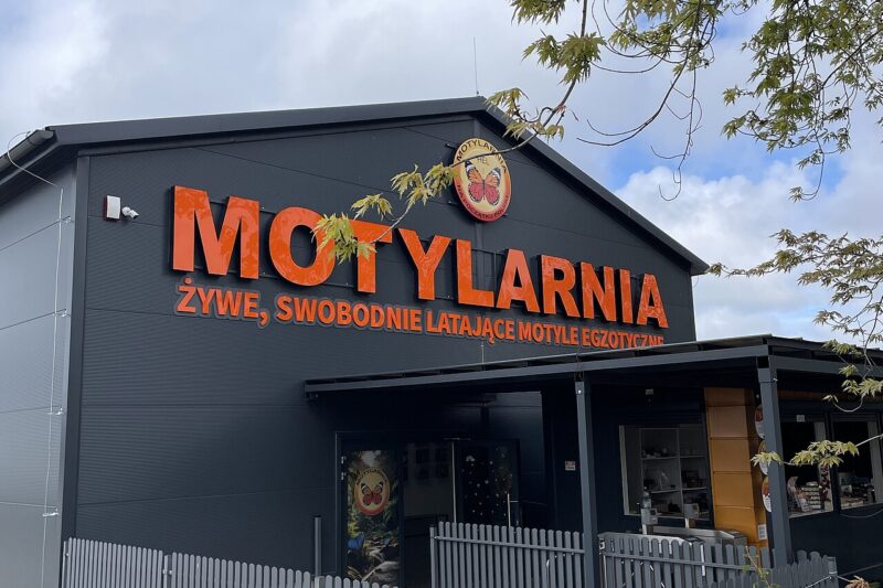 Motylarnia Hel – egzotyczne motyle na wyciągnięcie ręki