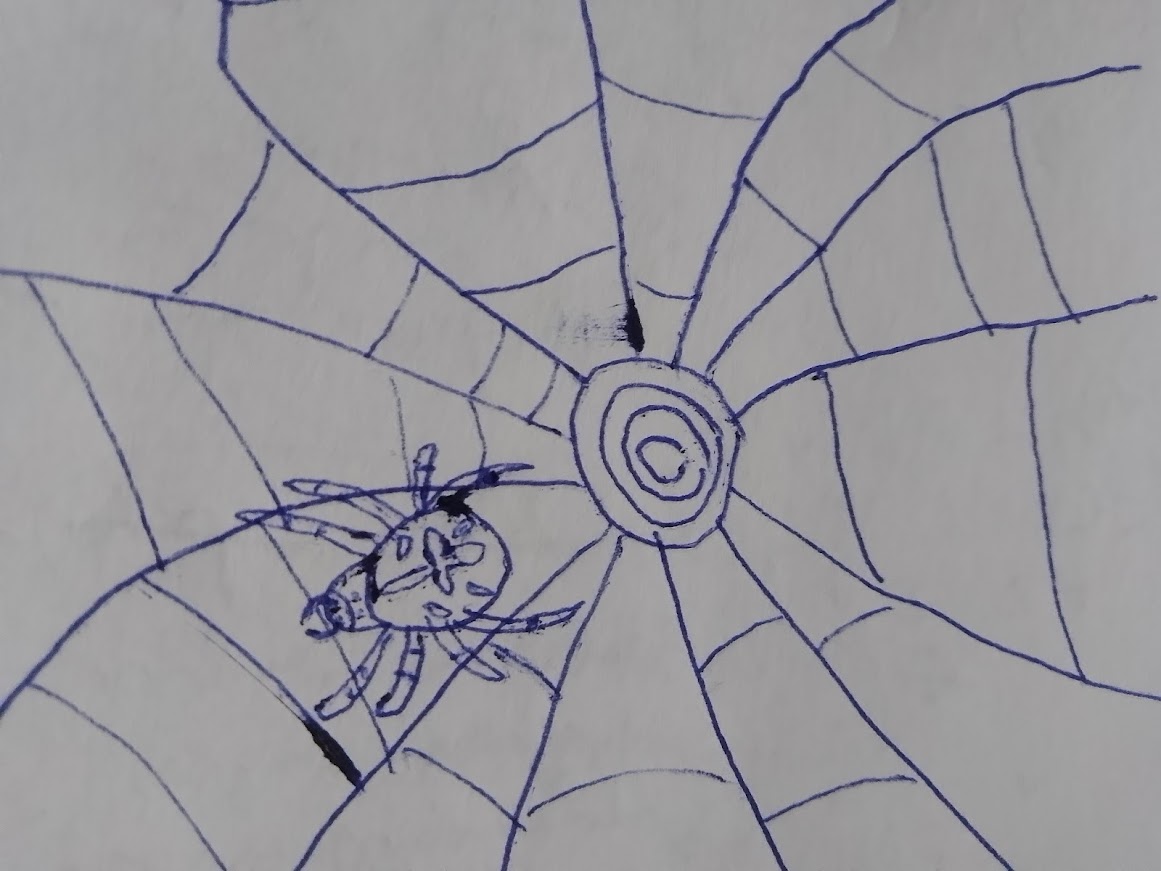 Surowy szkic pajęczyny na kartce – idealna baza do kolorowania