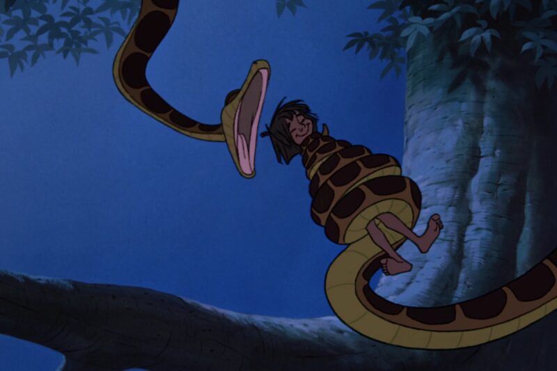 Wąż z „Księgi Dżungli”