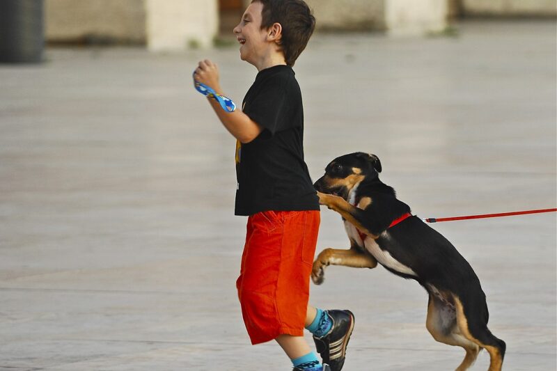 Dlaczego pies jest agresywny wobec dzieci? Prawdziwe powody, o których mało kto mówi