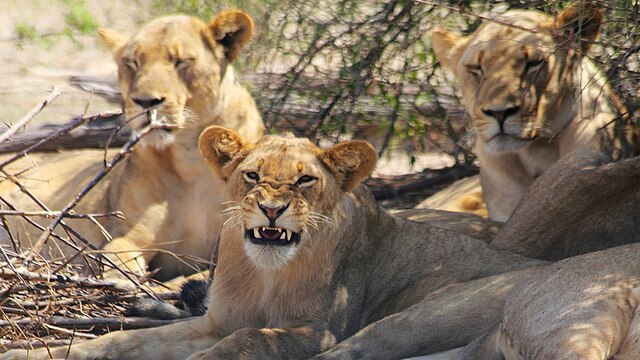 Test na trudny charakter