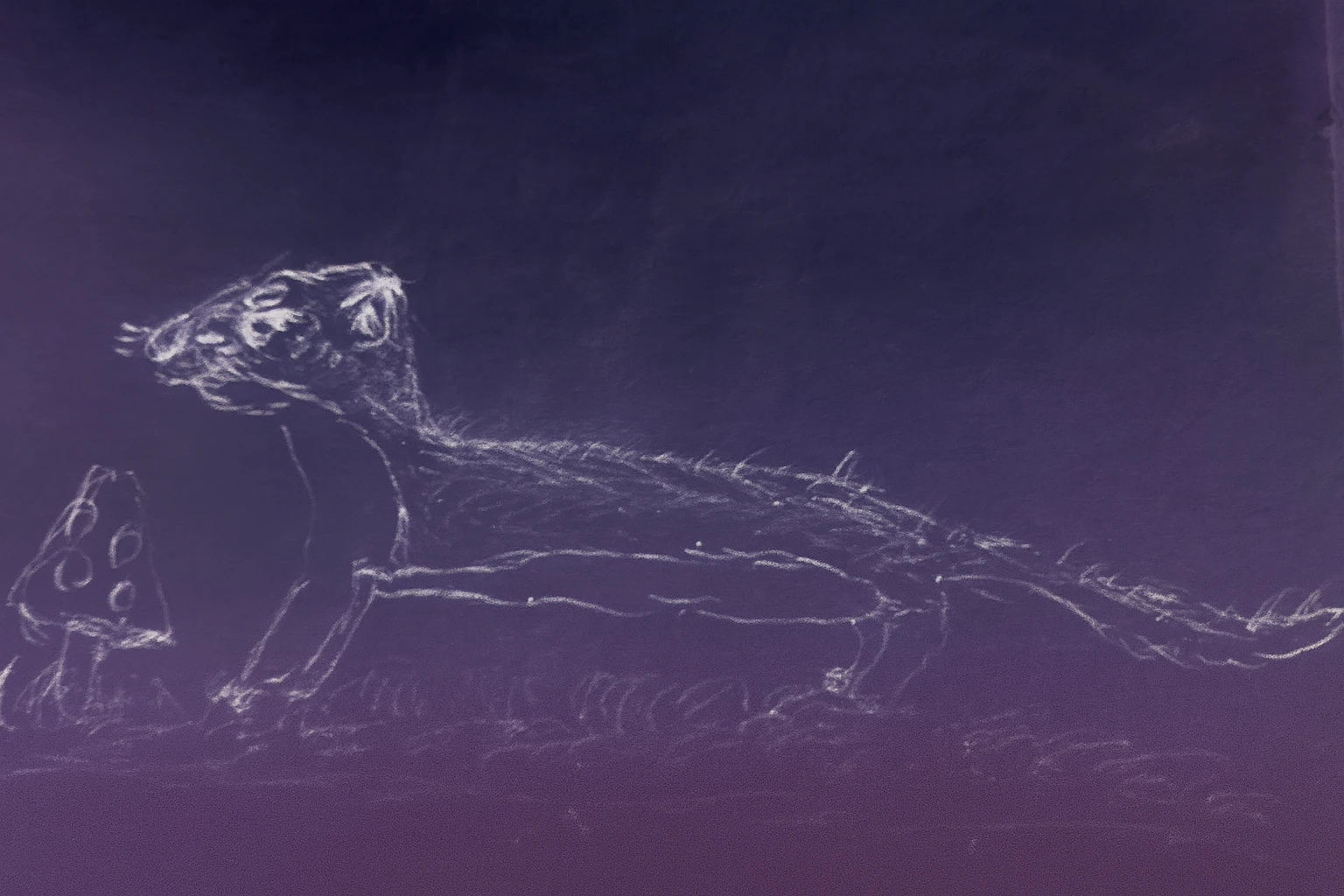 Zbliżenie na pyszczek i rude wzorki