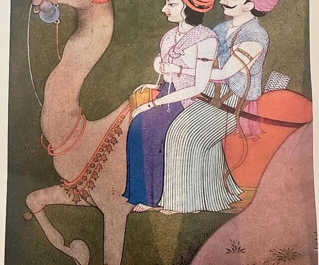 Ciekawostki o wielbłądzie