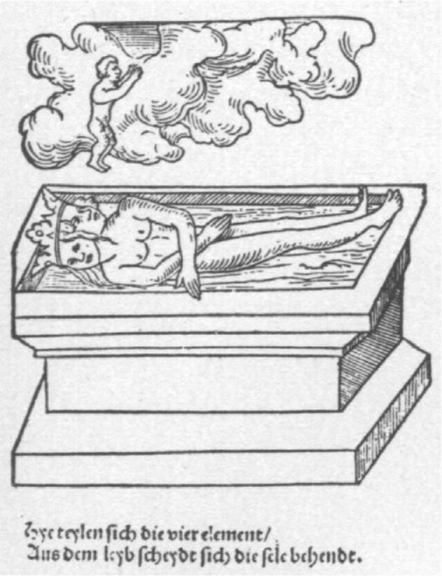 Pozytywka z ptaszkiem