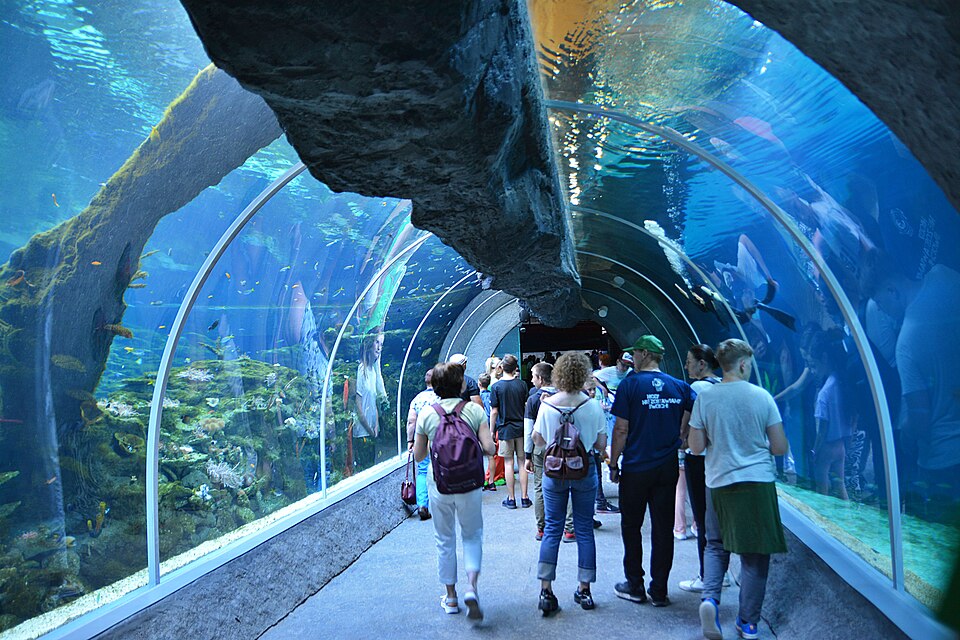 oceanarium zoo łódź, podwodny tunel