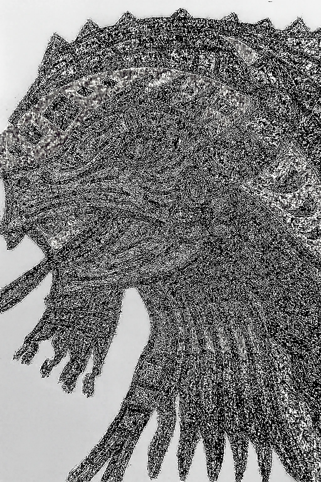 Surowy szkic smoka w stylu ludowym – baza do kolorowych wzorów