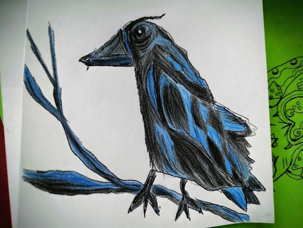 jak narysować kruka