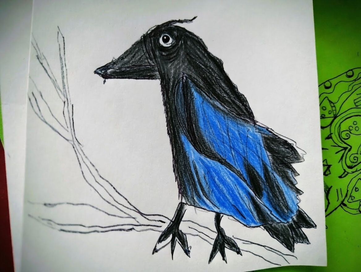 Mroczny kruk na gałęzi – gotowy rysunek