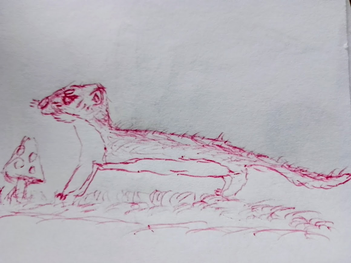 Ruda łasica w czujnej pozie – szkic