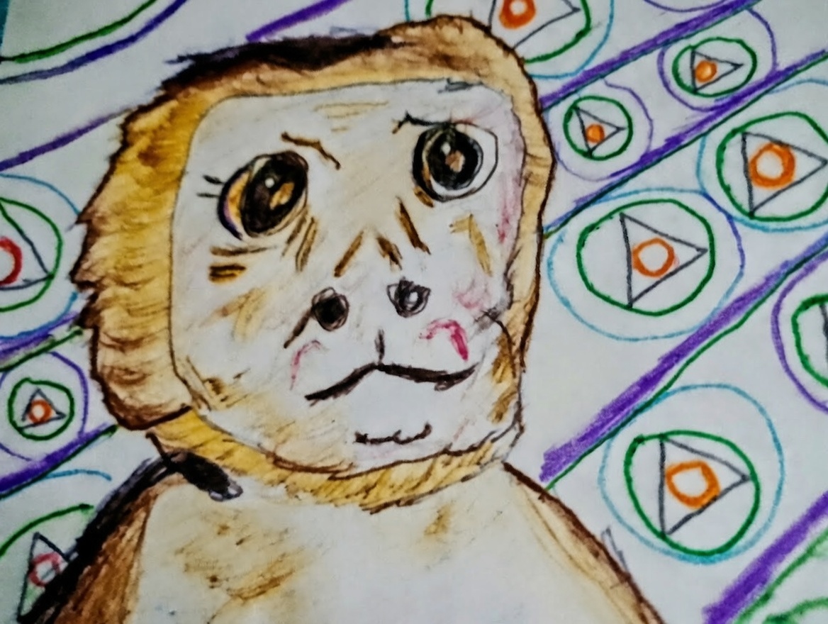 Zbliżenie na pyszczek kapucynki i wzorki