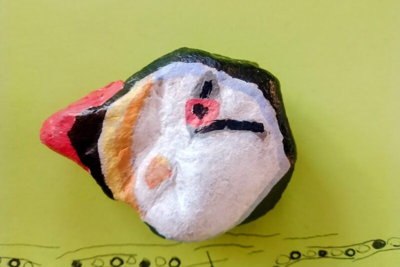 Jak zrobić maskonura na kamyku