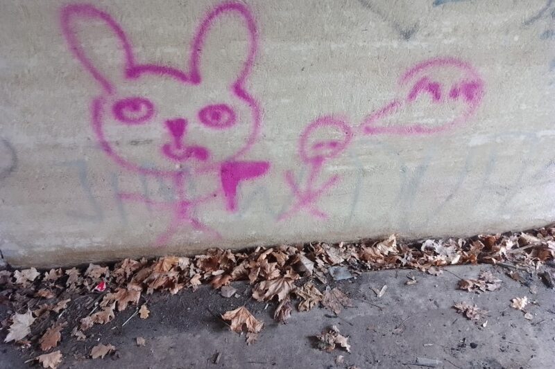 Czemu królik mnie atakuje?!