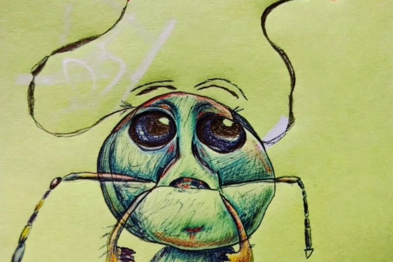 Jak narysować głowę mrówki