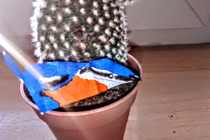 Ptaszek z paska papieru