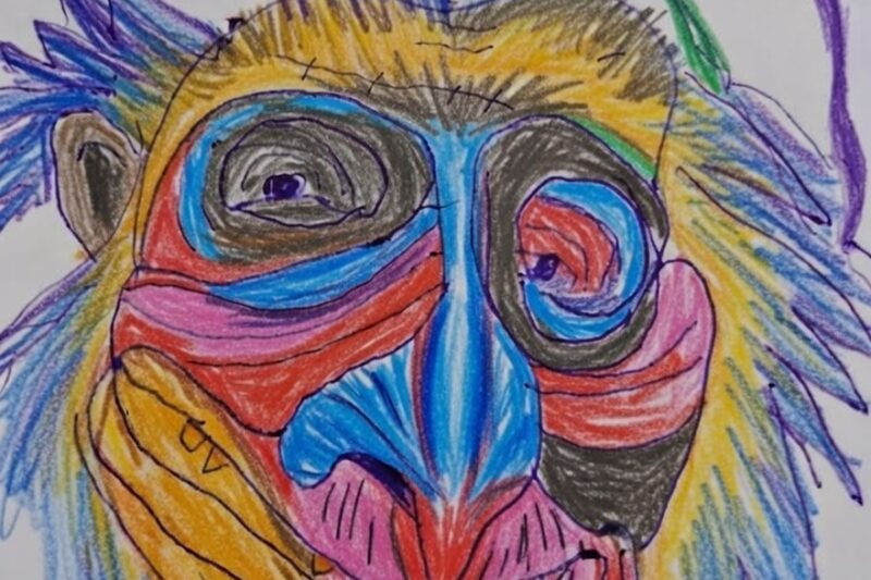 Rafiki z „Króla Lwa”