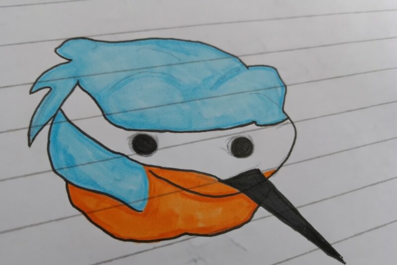 Jak narysować zimorodka